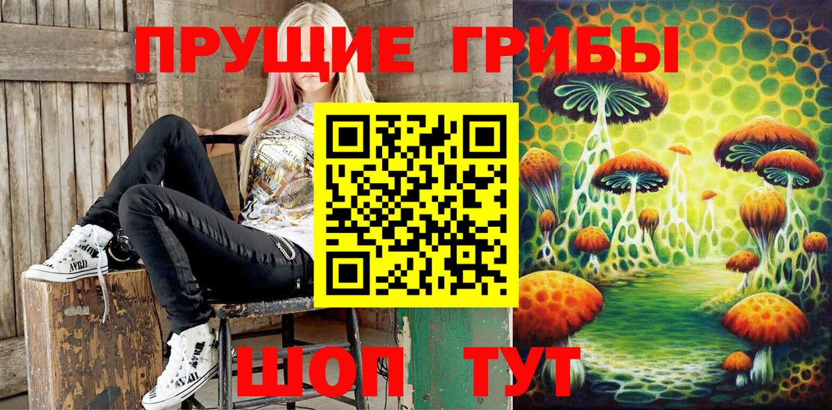 Галлюциногенные грибы прущие грибы Тосно