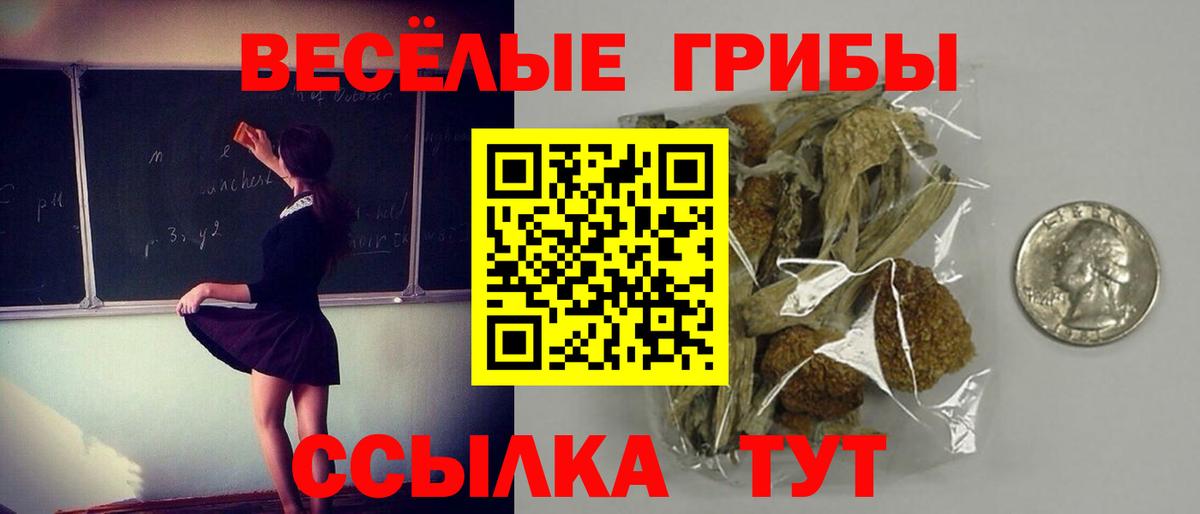 Тосно  Псилоцибиновые грибы прущие грибы  Вход с VPN 